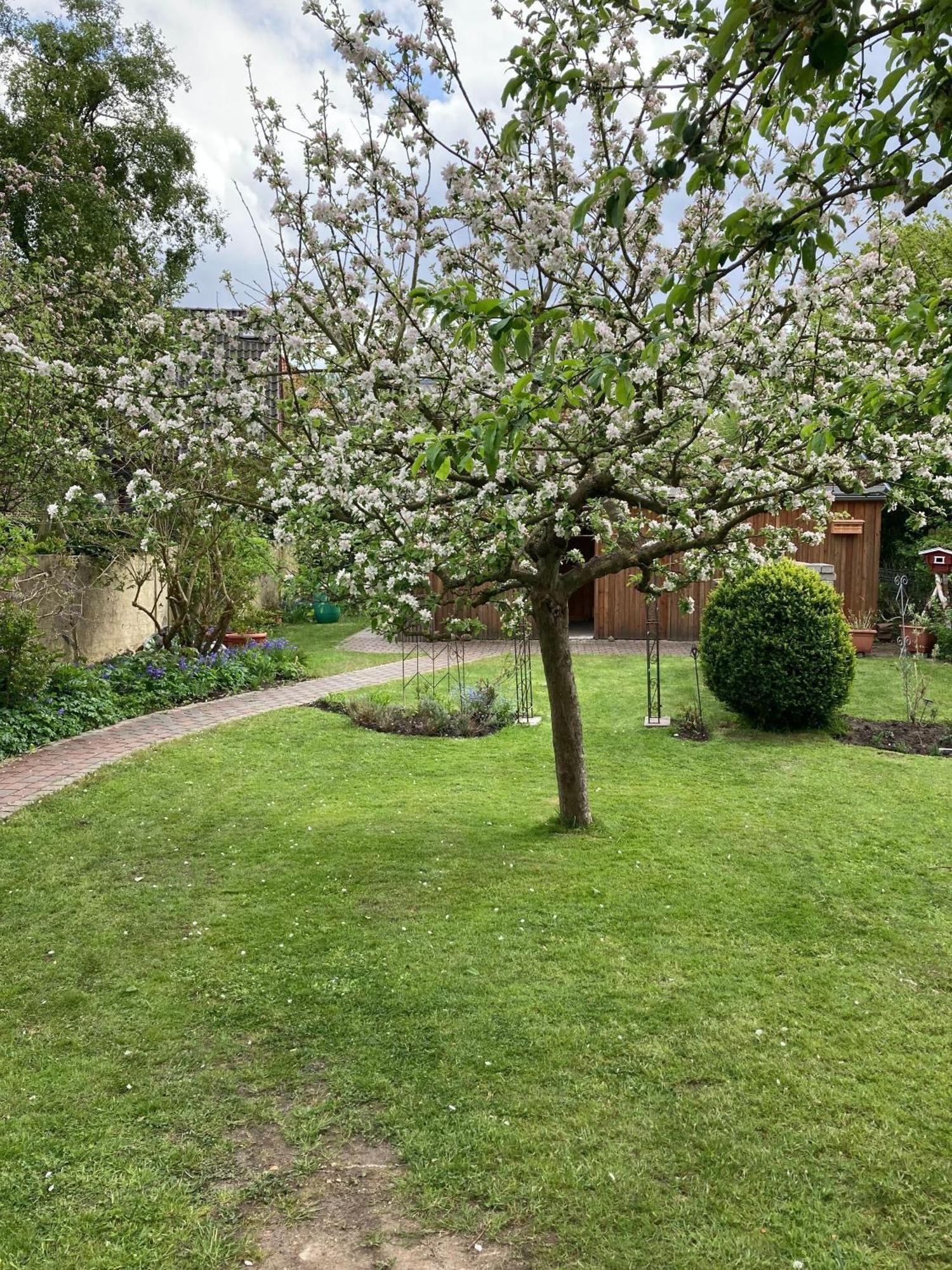 Charmante-Ferienwohnung-In-Der-Fjordstadt Flensburg Exterior foto